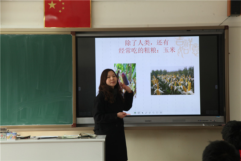 戚婷婷.jpg