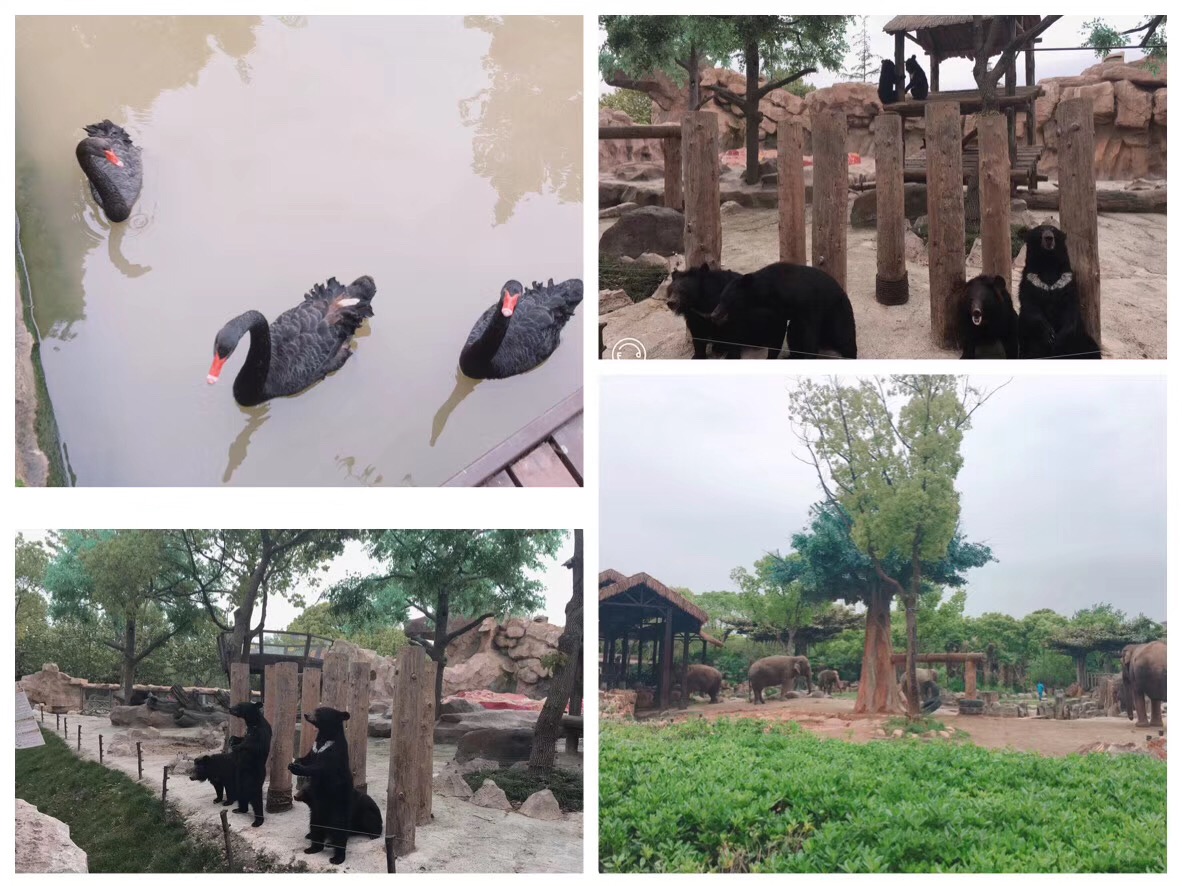 微信图片_20190429133336.jpg