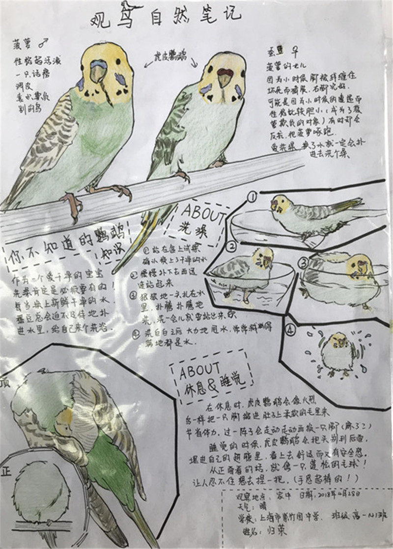 一等奖 高一4 归荣.jpg