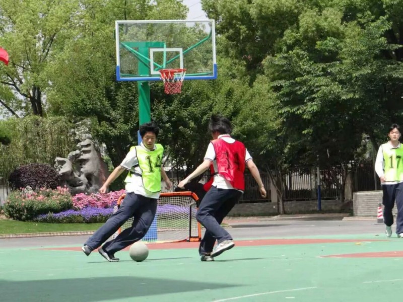 图片 4.jpg