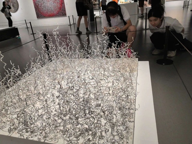 图片 15.jpg