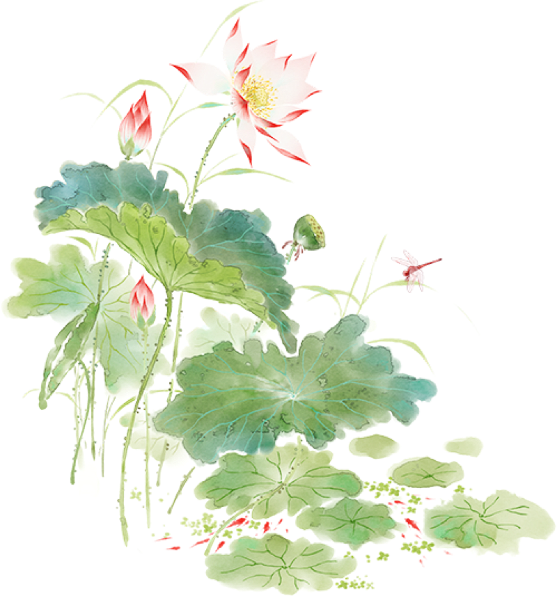 图片 7.png