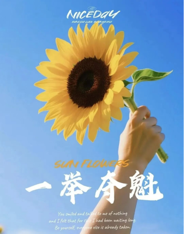 图片 5.png