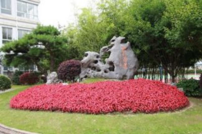 图片 40.jpg