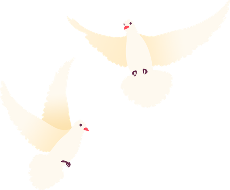图片 12.png